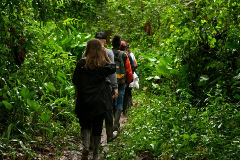 a group of people hiking in the wilderness