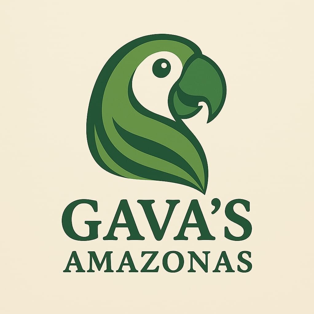 hotel gavas